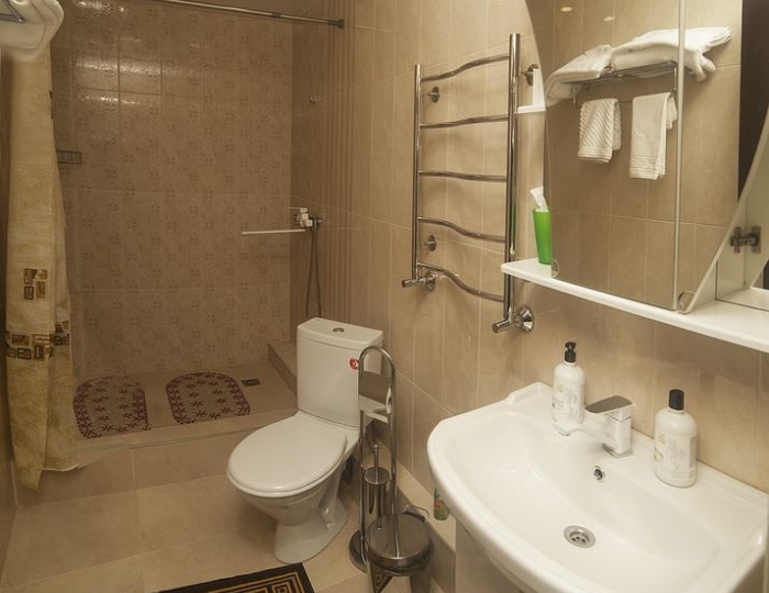 Двухместный люкс - Санаторий «Лесной» Железноводск